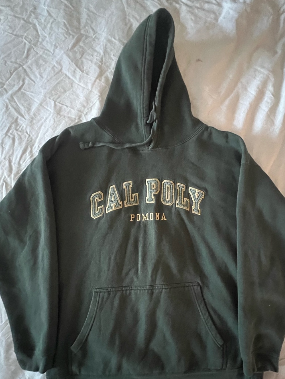 Cal Poly Pomona Men's Pullover Hoodie Sweatshirt - Size 2XL